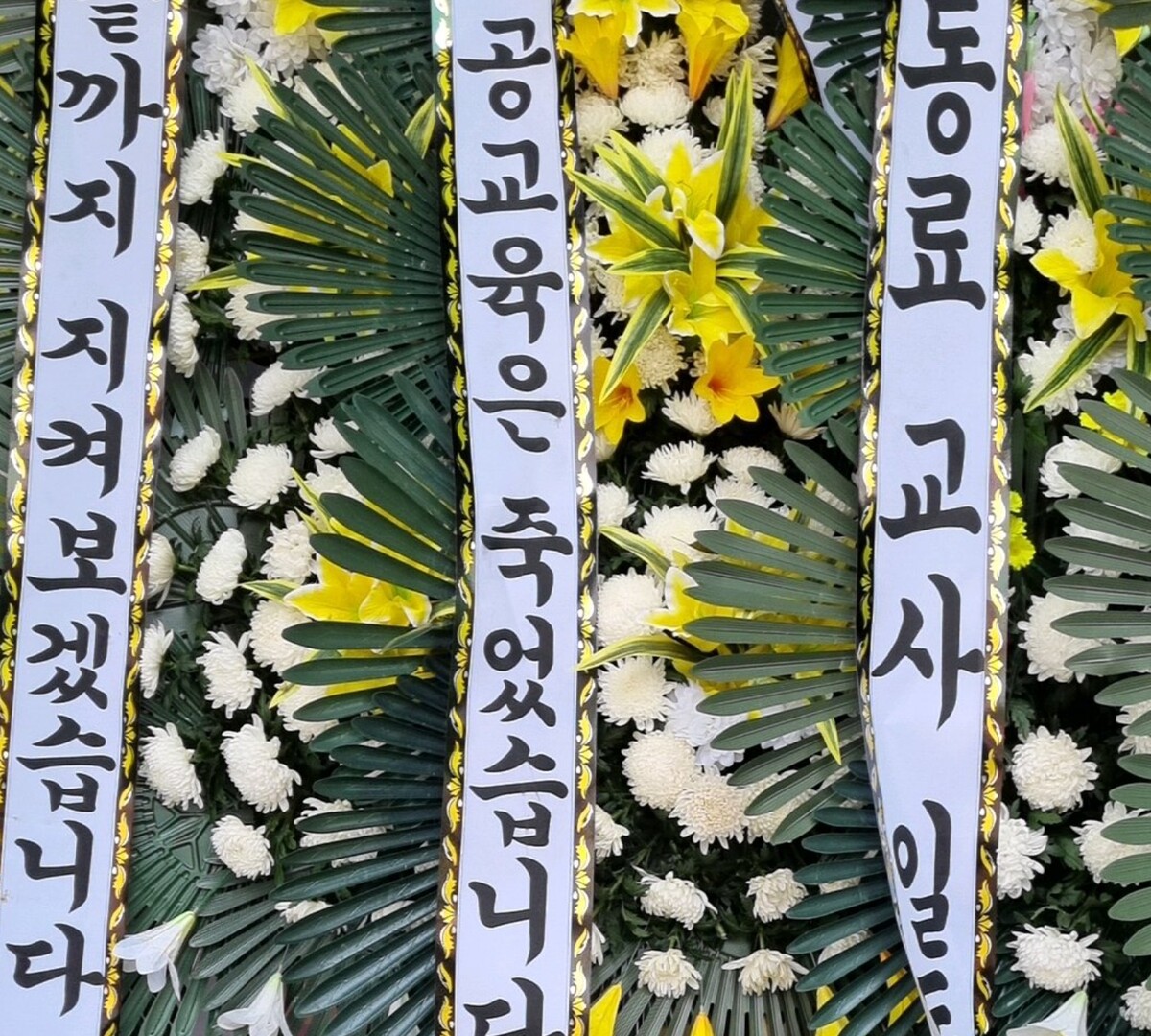 서이초등학교 현장