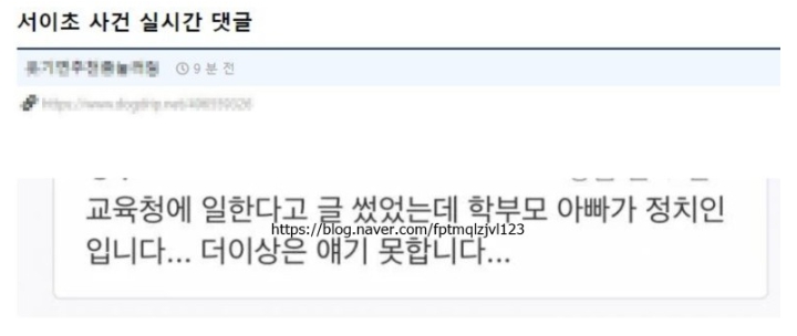 서이초 교사 사건 3선 국회의원 루머