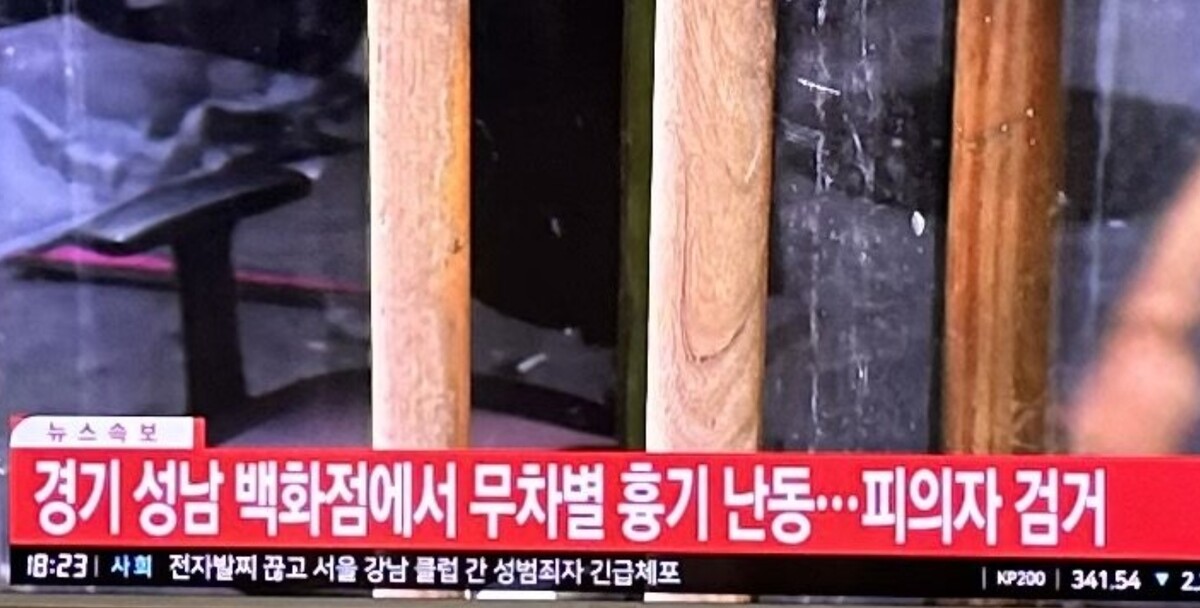 분당 서현역 칼부림 사건