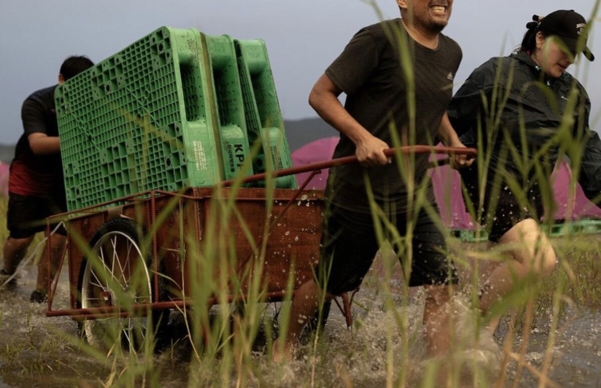 잼버리 환경 현장