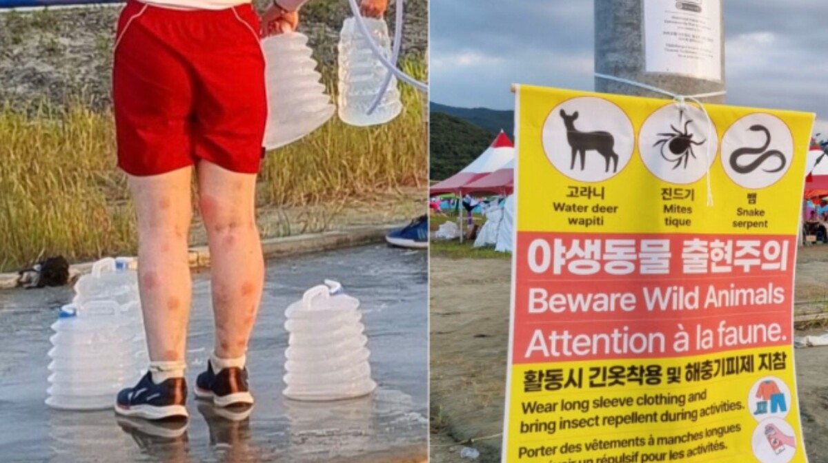 부안 새만금 잼버리 열악한 환경