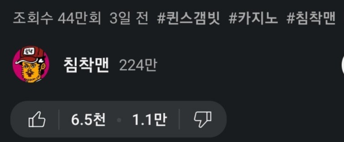 침착맨 유튜브 싫어요 상황