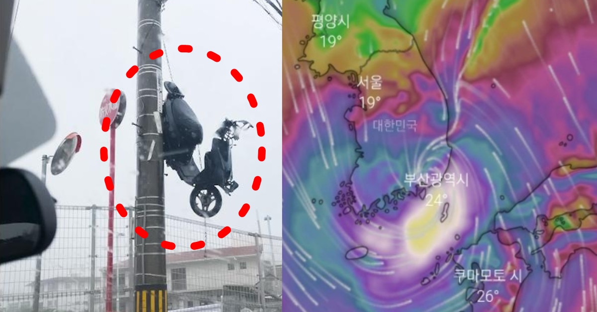 제6호 태풍 카눈 실시간 예상경로 강도 위력 심각