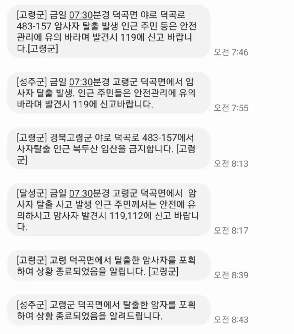 경북 고령 암사자 탈출 재난문자