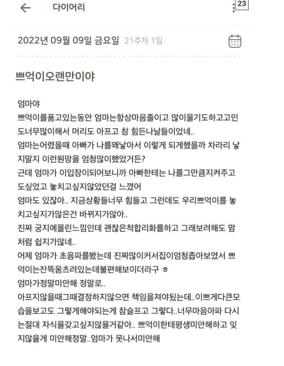 유혜디가 태아에게 남겼던 다이어리