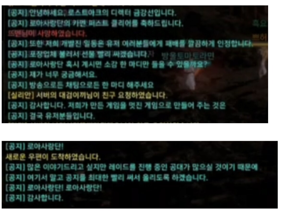 로사단 카멘 레이드 퍼클 후 금강선 디렉터 반응