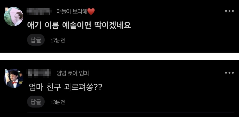 유튜버 하늘 임신 소식 댓글 반응