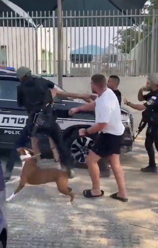 하마스 병력 체포한 이스라엘 군대