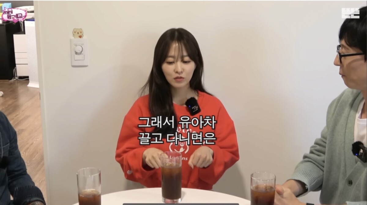 박보영 출연 유튜브 핑계고 유아차 표현 자막 논란