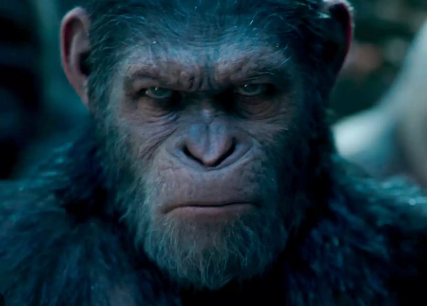 혹성탈출 3부작 주인공 시저