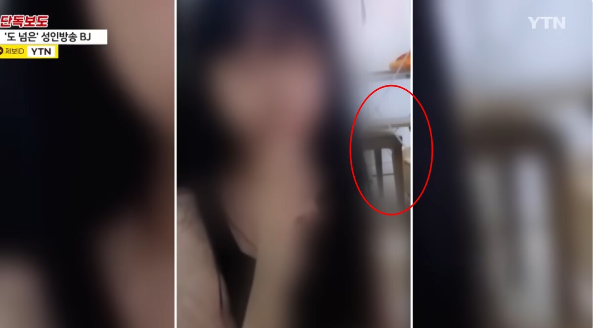 정부 중앙부처 7급 공무원 성인방송 적발 / YTN