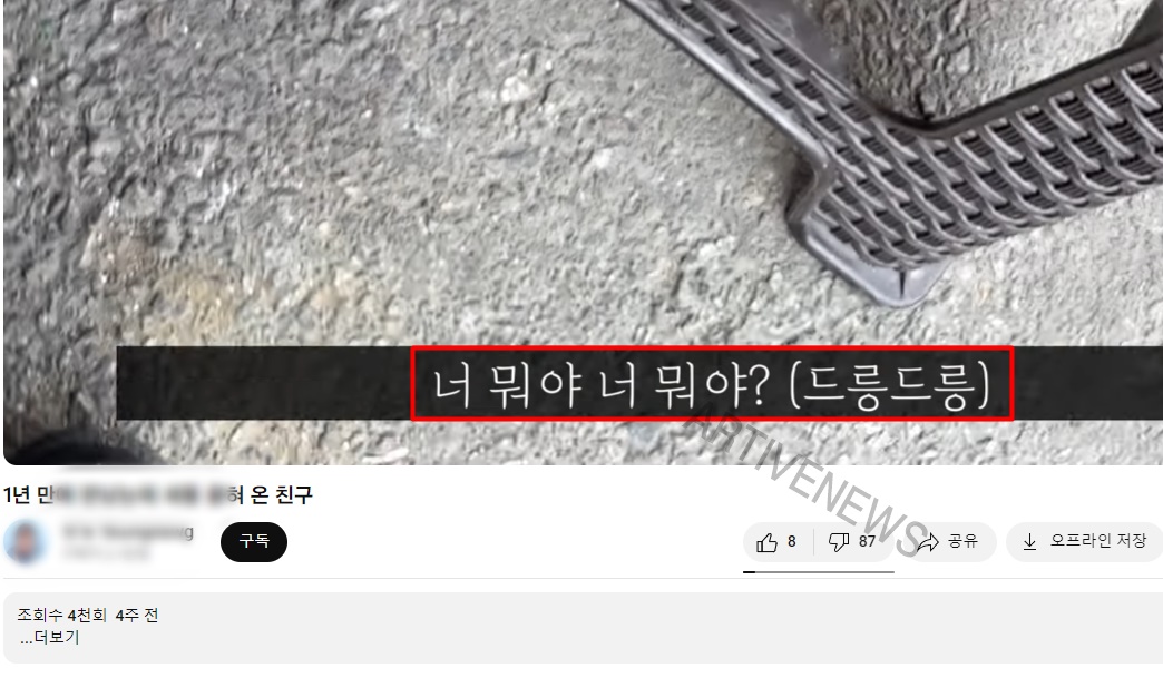 MBC 당근칼 보도 기자 유튜브