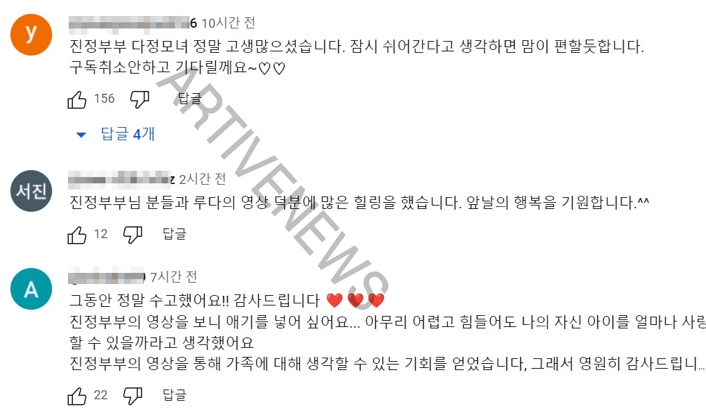 유튜브 진정부부 활동 중단 팬들 반응