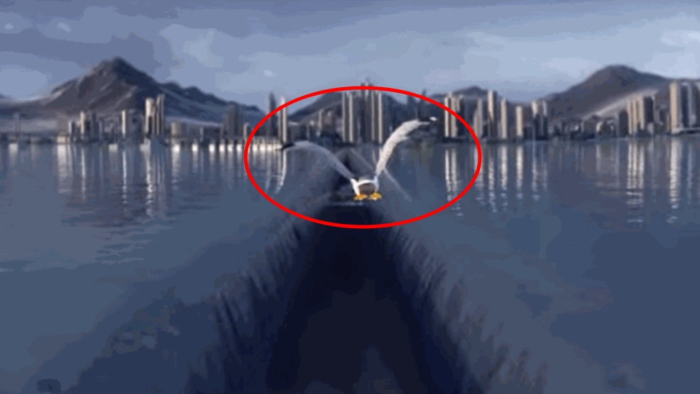 윤석열 정부 부산 엑스포 PT 홍보 CG