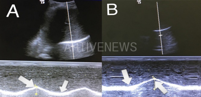 백석대 정성대 교수 과거 논문 연구 결과 참고 사진