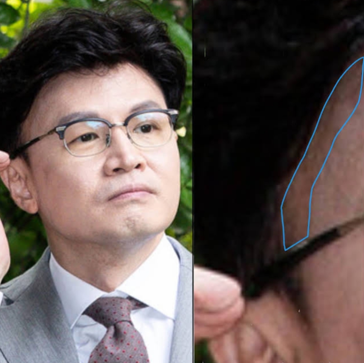 한동훈 대머리 가발 루머 증거로 제시된 사진 / 온라인 커뮤니티