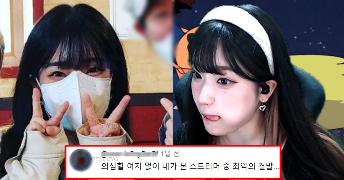 트위치 스트리머 연두부 트게더 공지 후 2개월 잠적