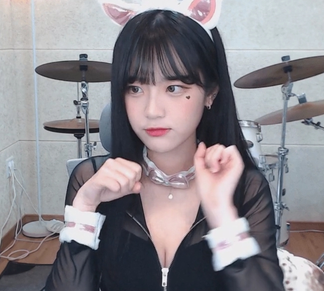 트위치 스트리머 쵸단