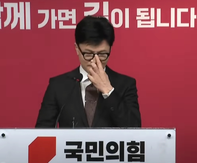 한동훈 국힘 비대위원장 임명