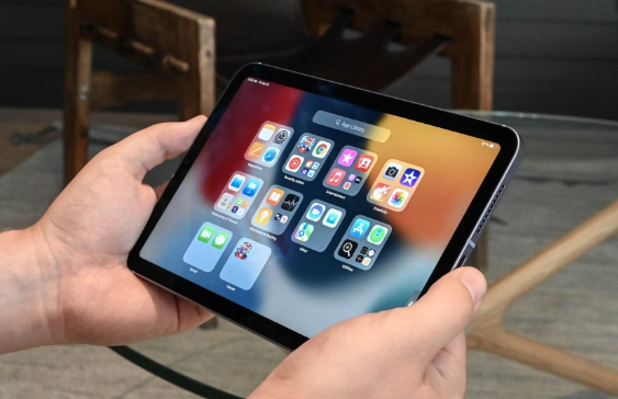 아이패드 미니 젤리스크롤