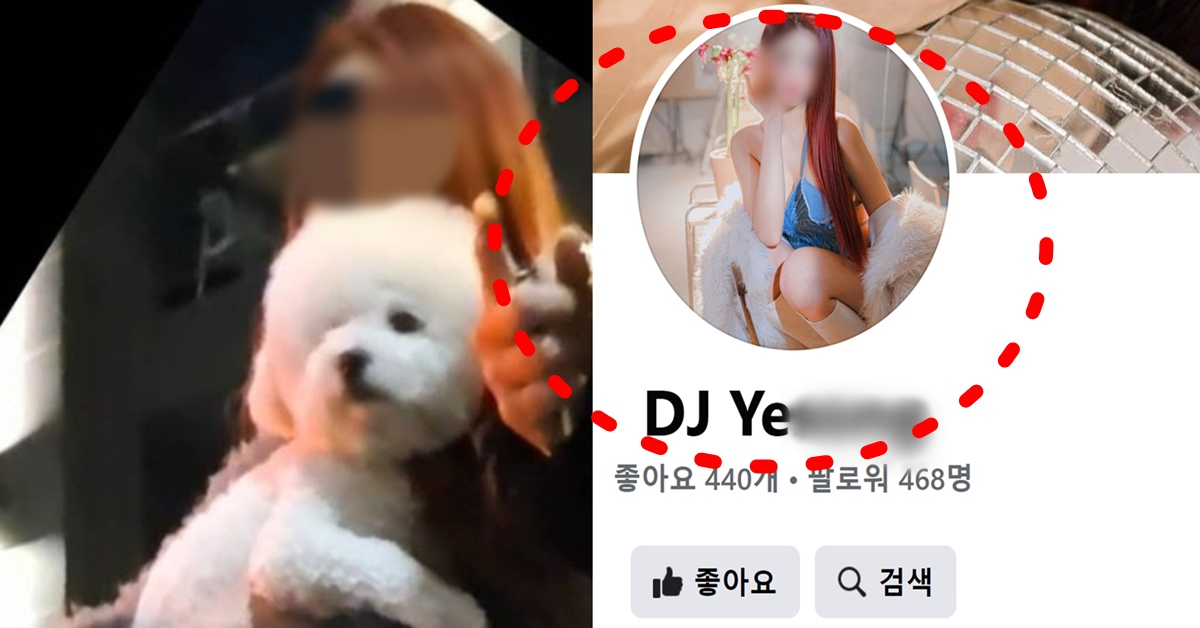 서울 강남 벤츠 음주운전 강아지 안고 있던 20대 여성 운전자 신상 얼굴