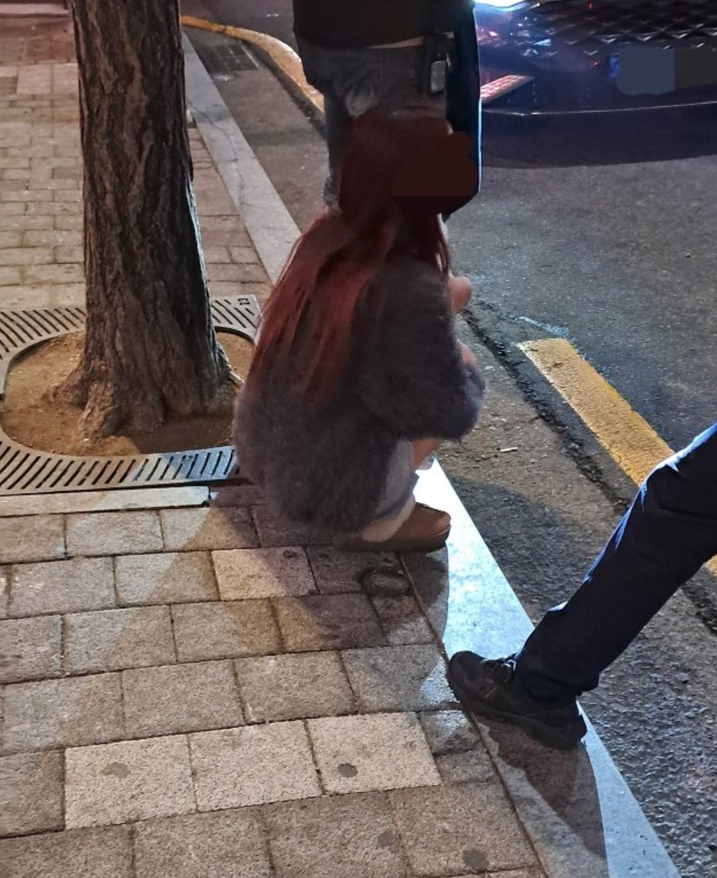 강남 음주운전 비숑 벤츠녀