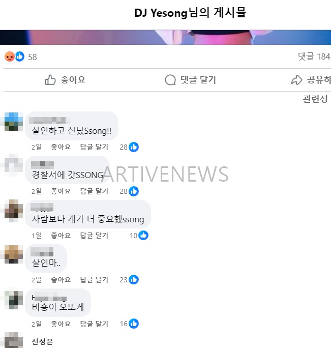 DJ 예송 사고 후 페이스북 댓글