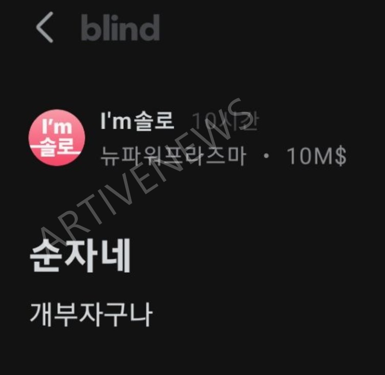 나는솔로 19기 블라인드 순자 동해원 짬뽕집 준재벌급 재산 주장글