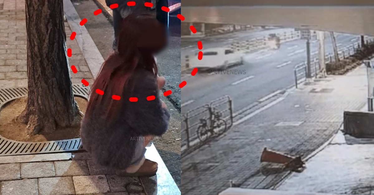 강남 언주역 음주운전 강아지 벤츠녀 사고 논란 50대 남성 사망