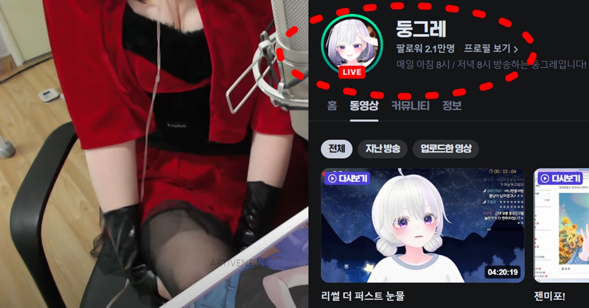 치지직 버튜버 둥그레 실물 얼굴 빨간약 관심