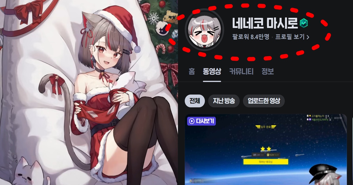 치지직 스트리머 스텔라이브 네네코 마시로 얼굴 빨간약 관심