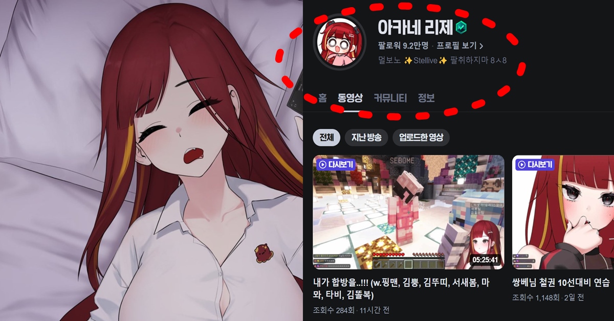 스텔라이브 치지직 스트리머 아카네 리제 실물 얼굴 사진 허위 공개 피해