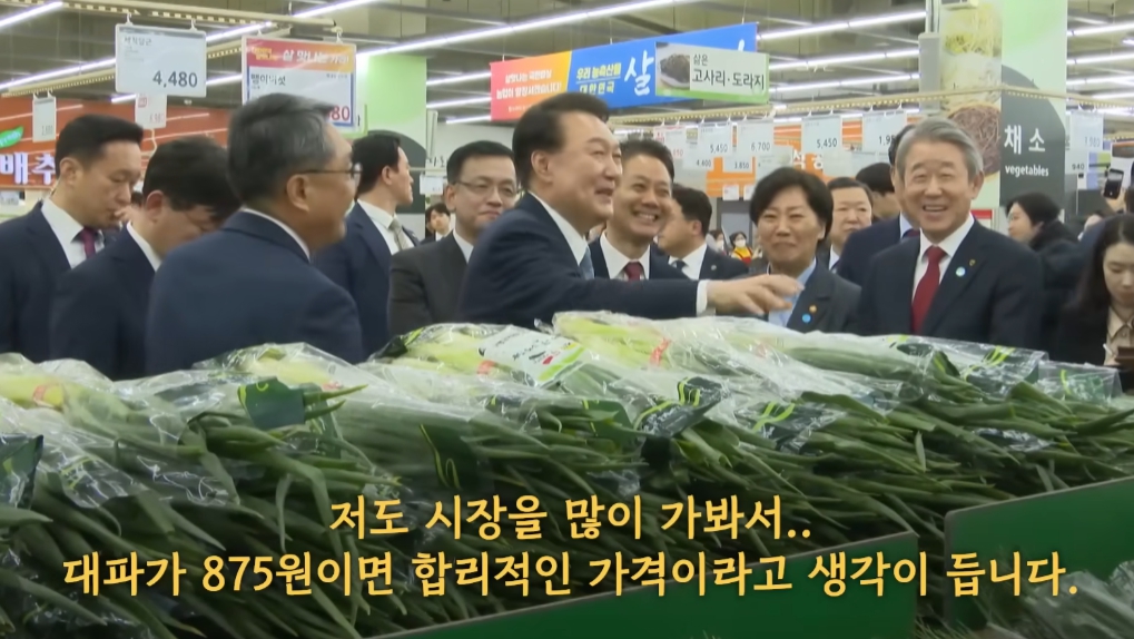 윤석열 대통령 대파 875원 논란