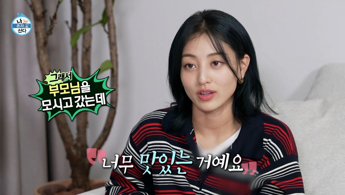 지효 나혼자산다