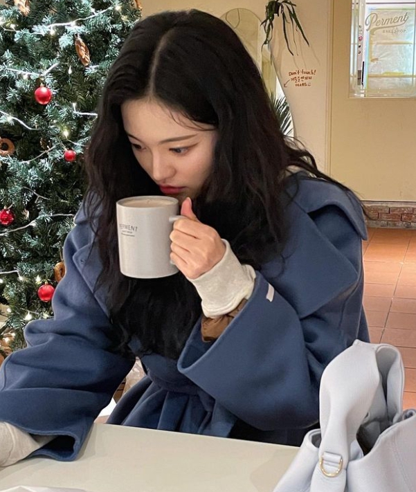 안솜이