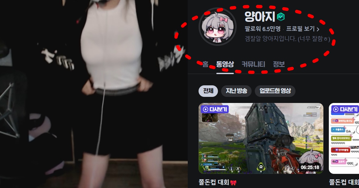 양아지 