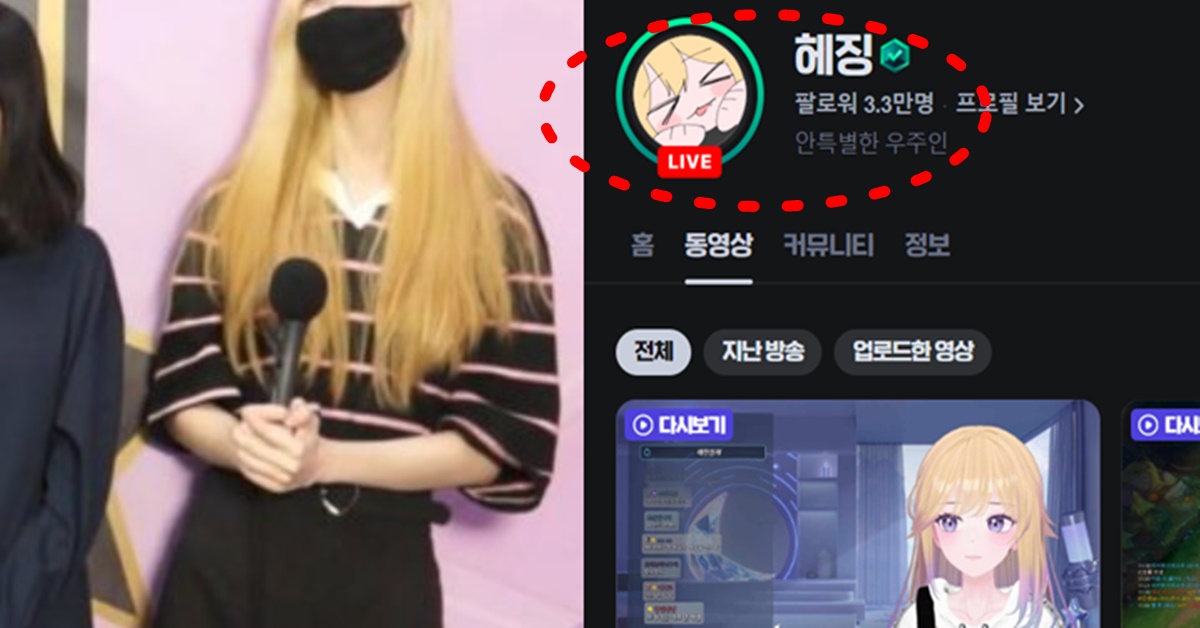 치지직 스트리머 헤징 실물 얼굴 빨간약 관심