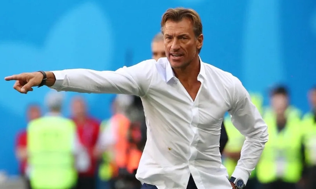 프랑스 에르베 르나르 감독