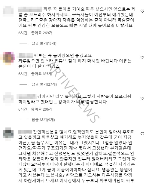 짜루캠핑 목줄 오프 리쉬 논란