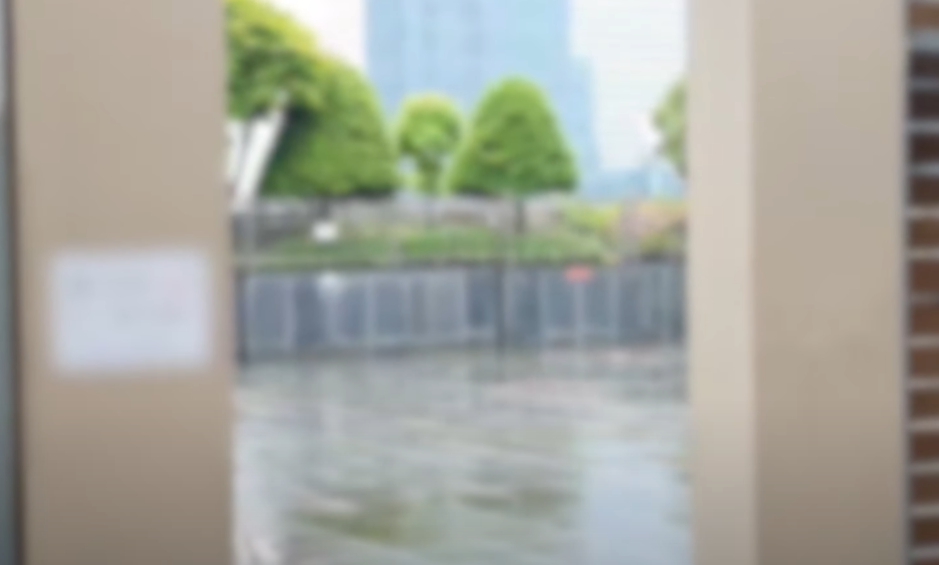 수능 만점자 여자친구 살해 벌어진 건물 옥상