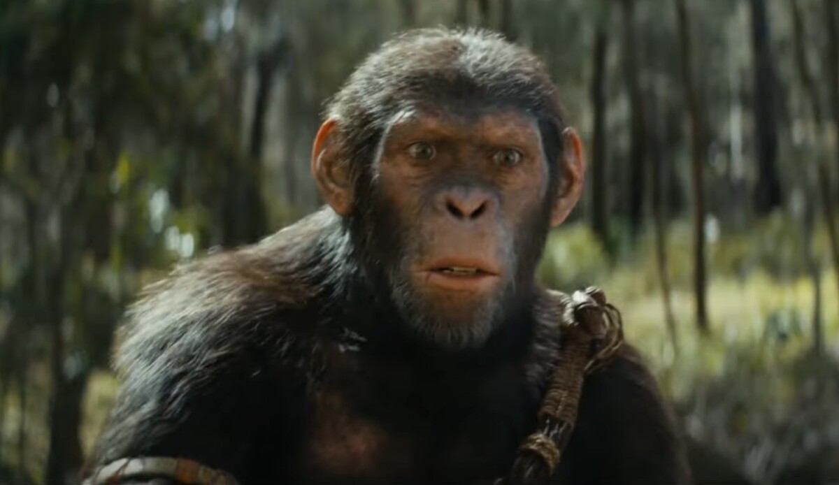 혹성탈출 새로운 시대 노아