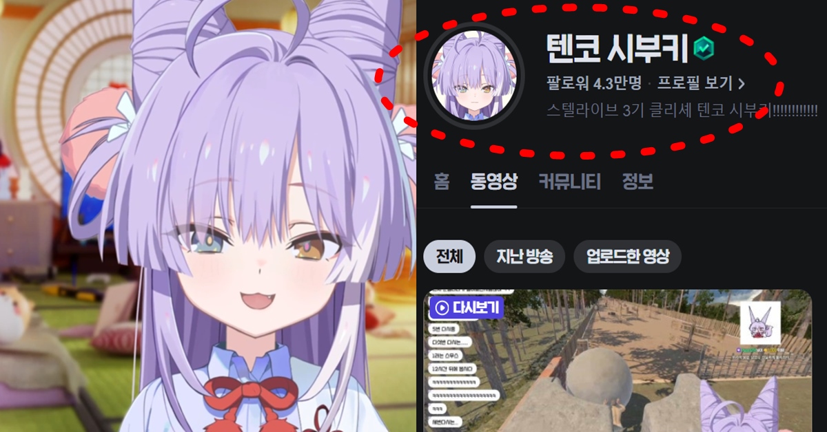 스텔라이브 3기 치지직 텐코 시부키 데뷔 전생 빨간약 관심