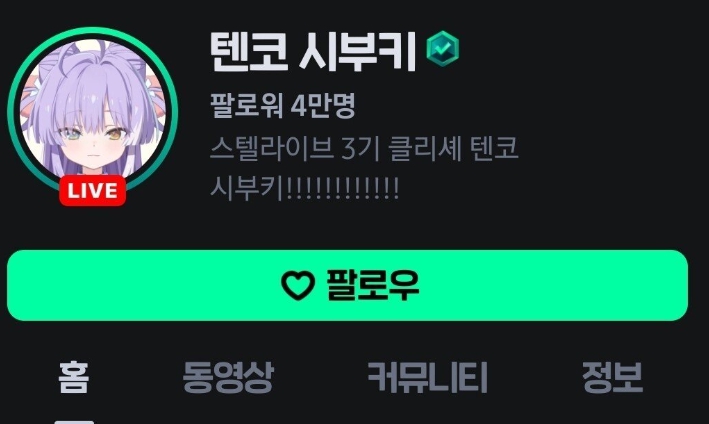 텐코 시부키 치지직 생방송