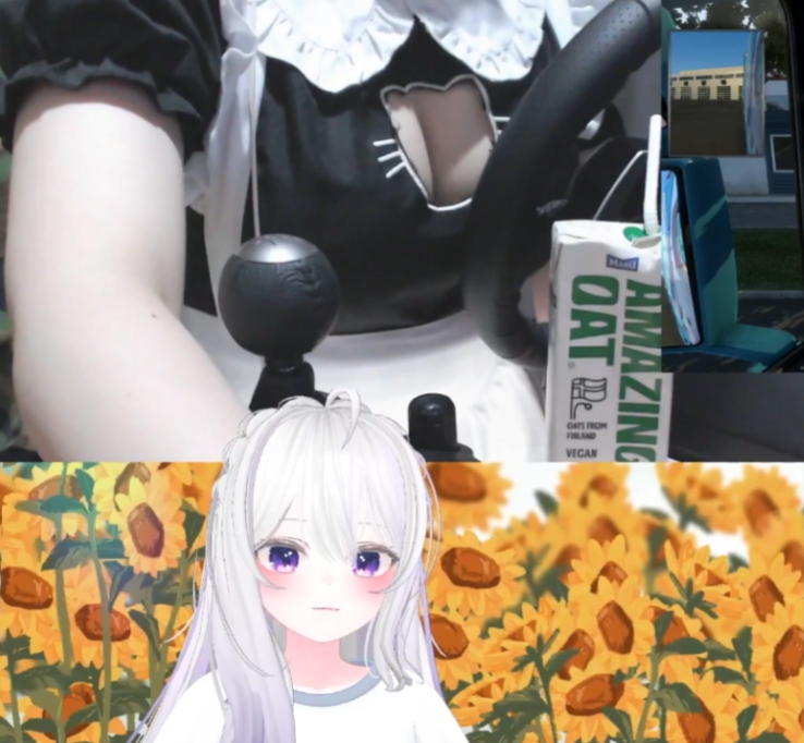 둥그레 반캠 방송