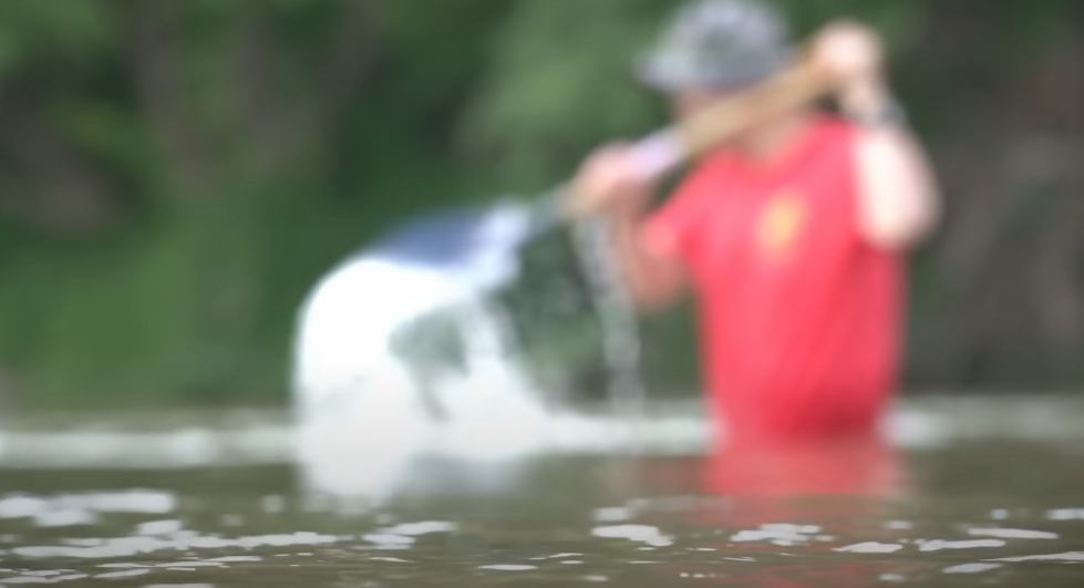 채수근 상병 순직 사건 수사외압 의혹