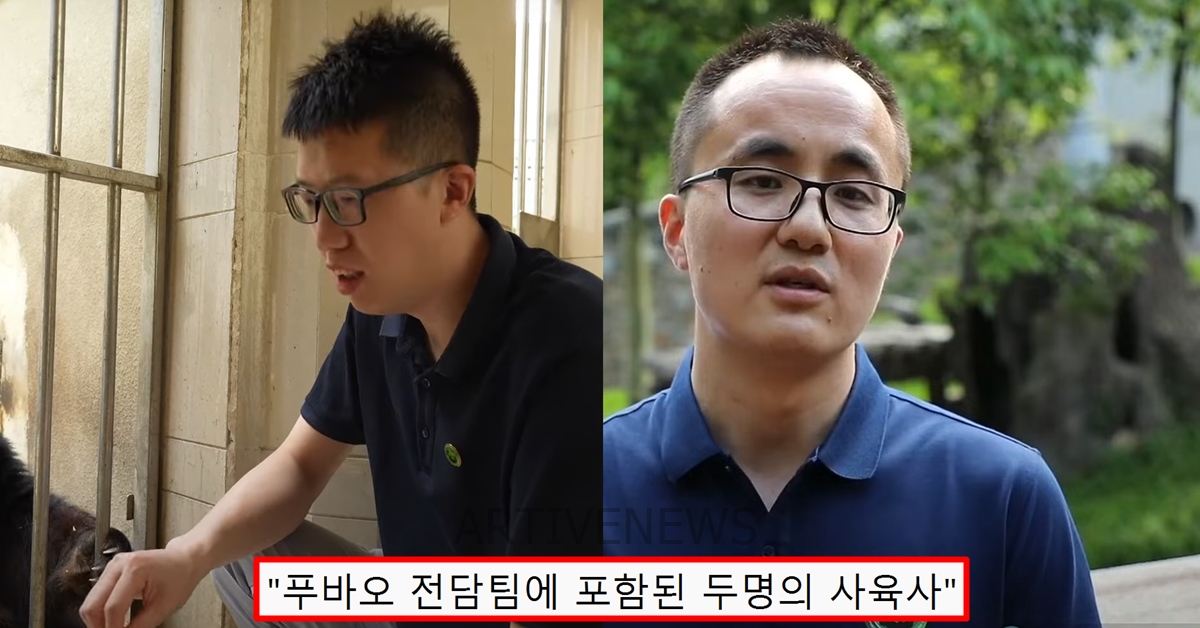 푸바오 대중 공개 중국 담당 쉬샹, 청젠빈 사육사