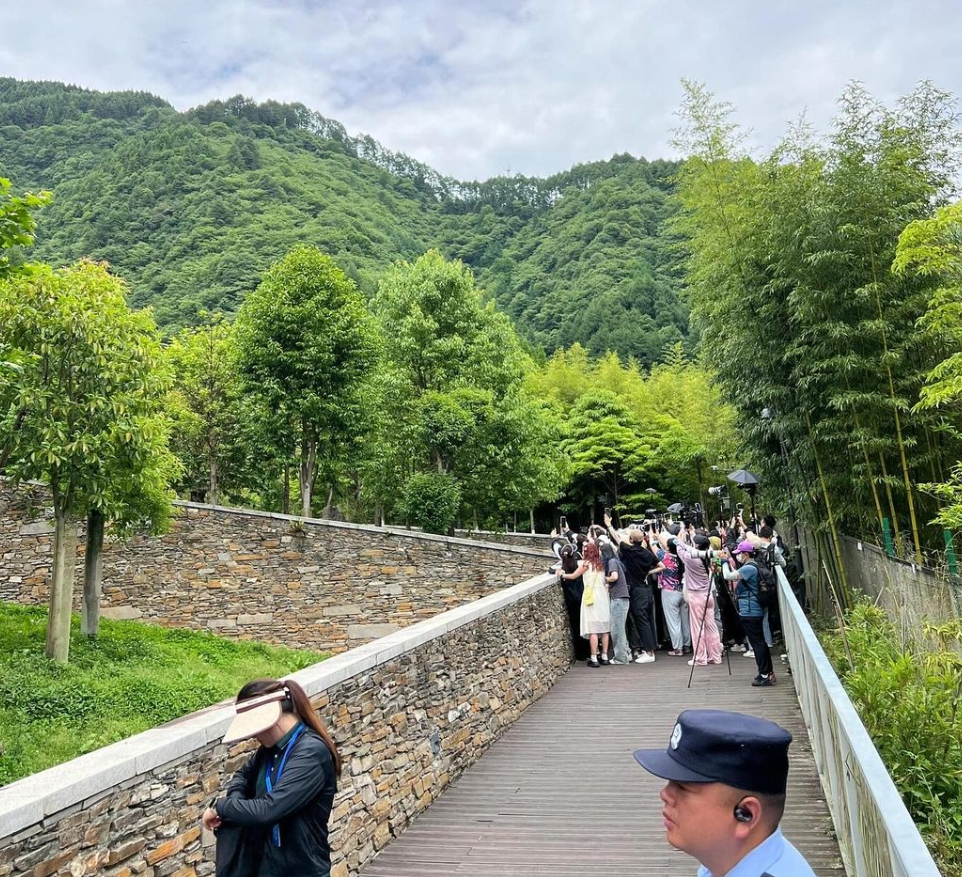 푸바오 선수핑 기지 인파