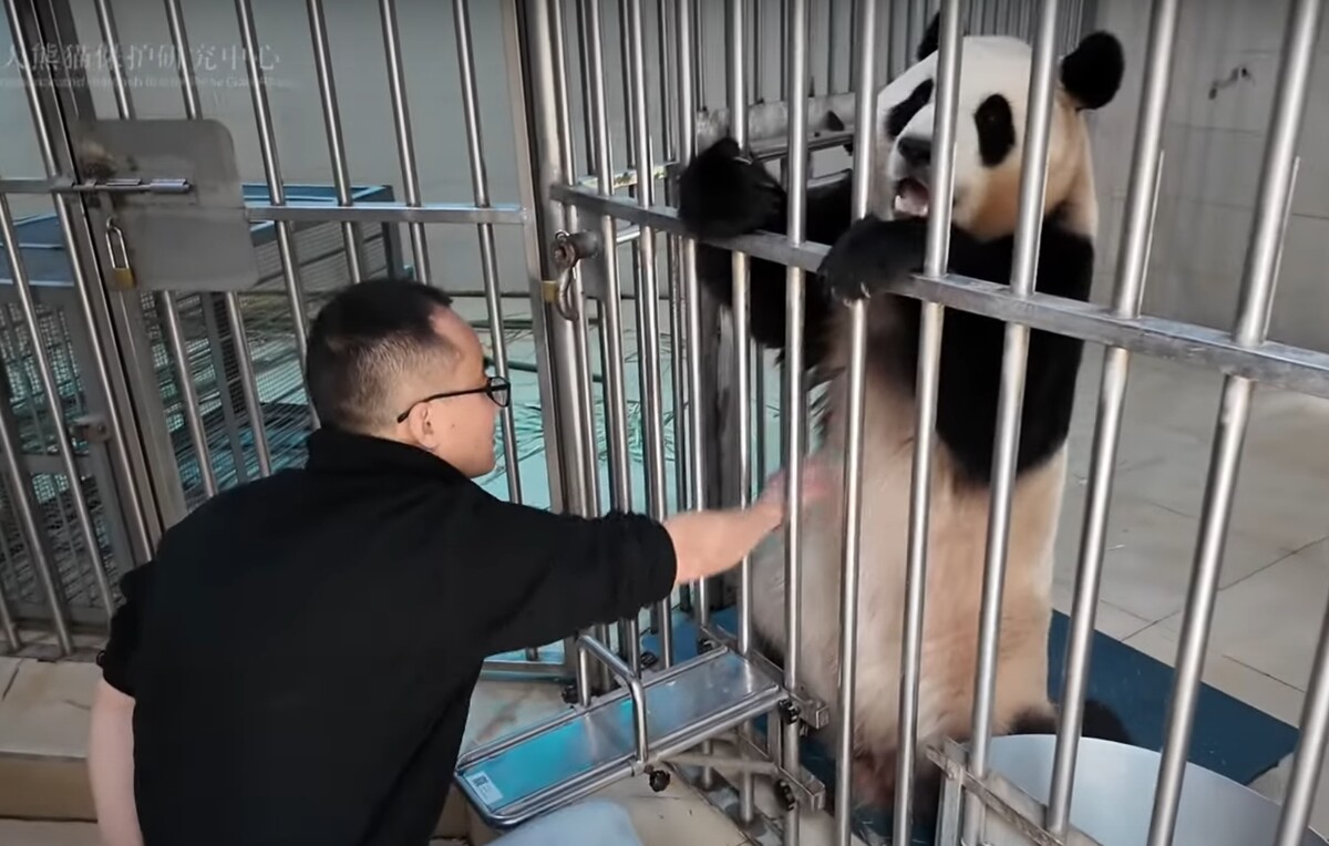 쉬샹 사육사와 푸바오