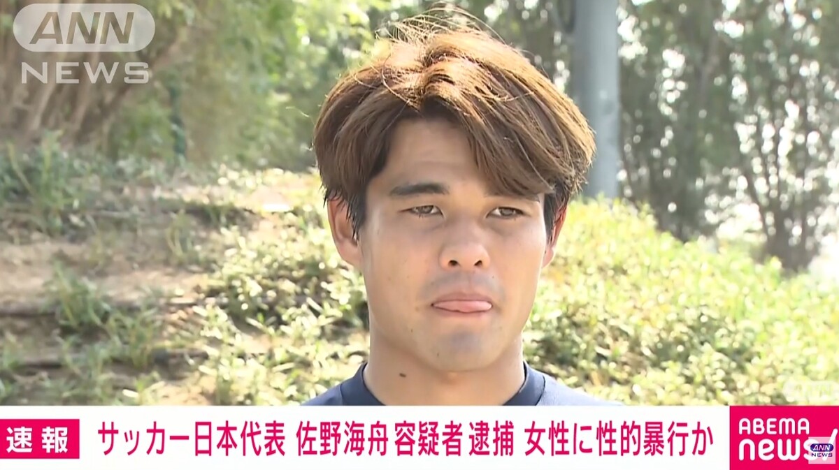 사노 가이슈 논란