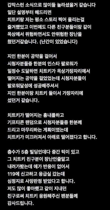 치트키 친구 인스타